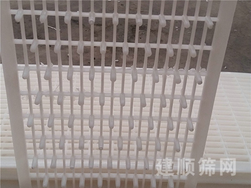 過濾板圖片3 過濾板圖片3